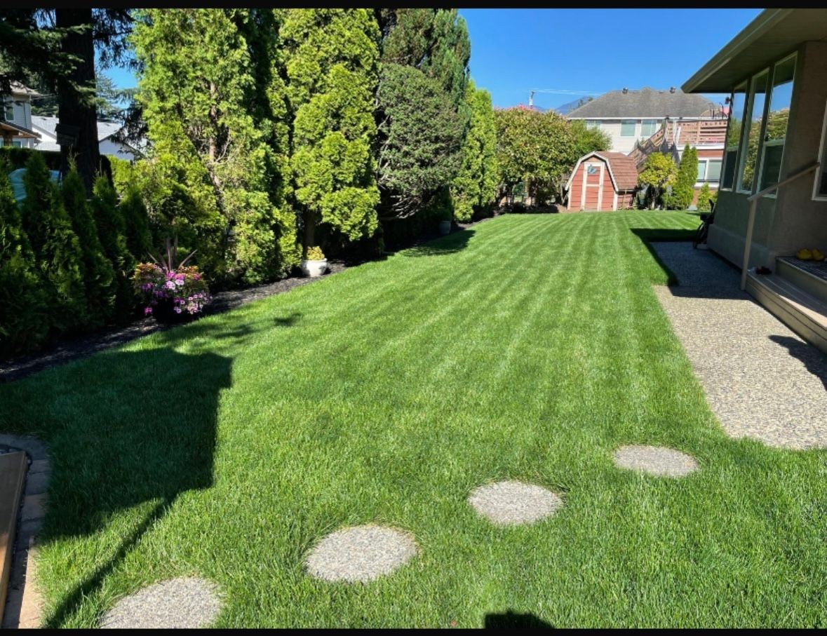 Reseeding/Sod