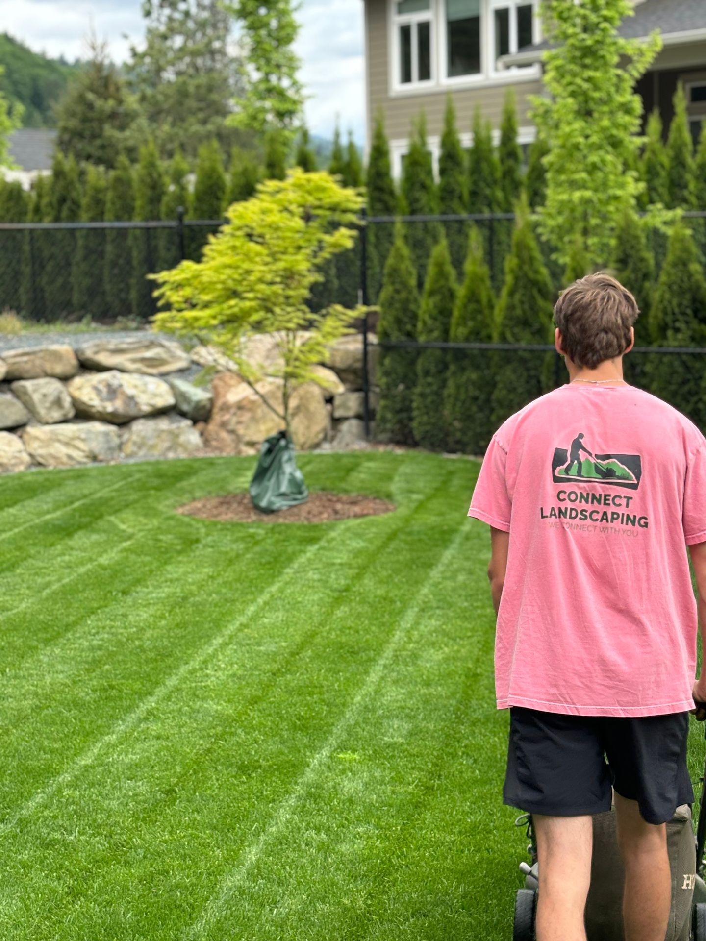 Lawn Care Maintenance