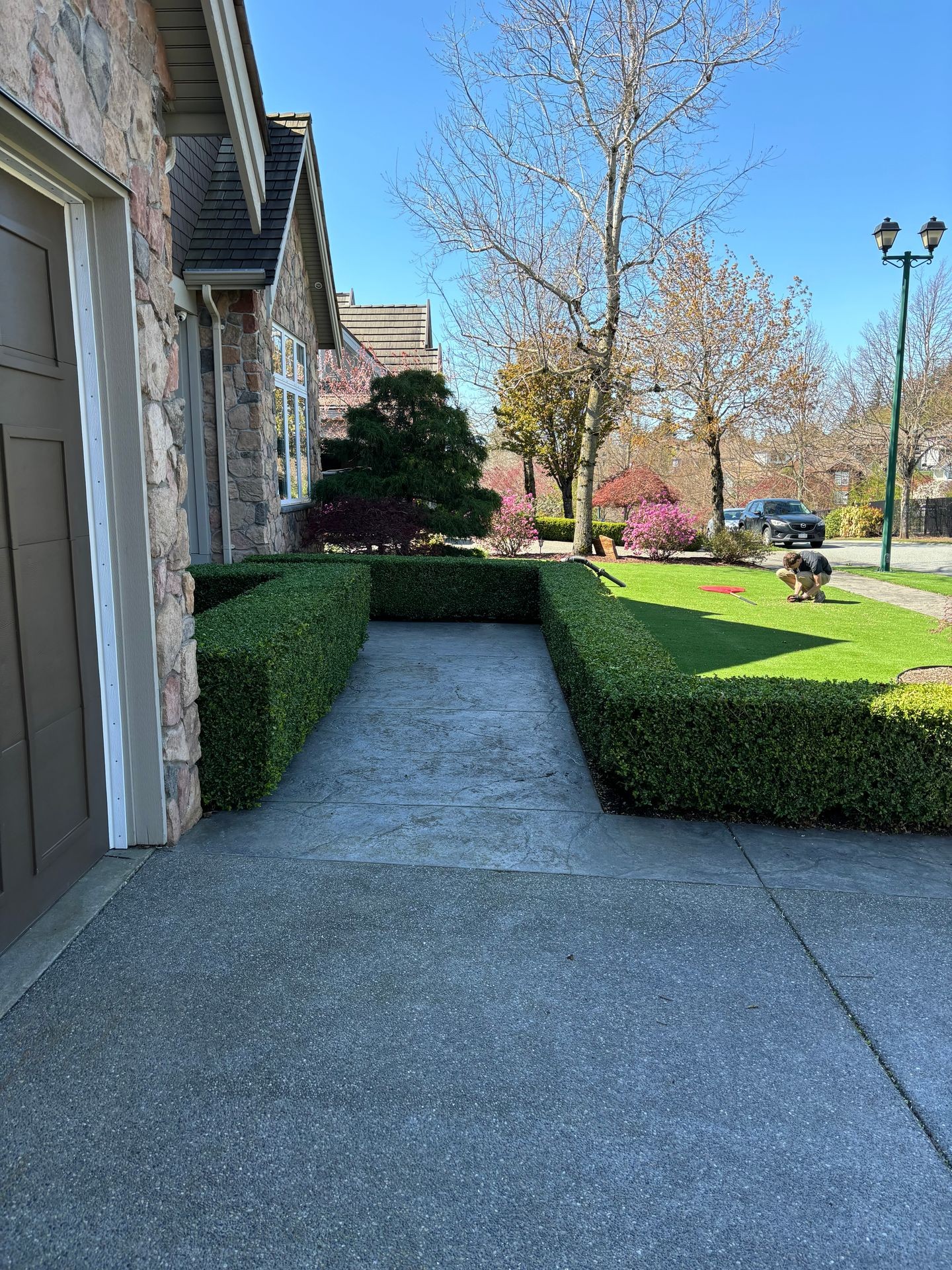 Tree and Shrub Pruning
