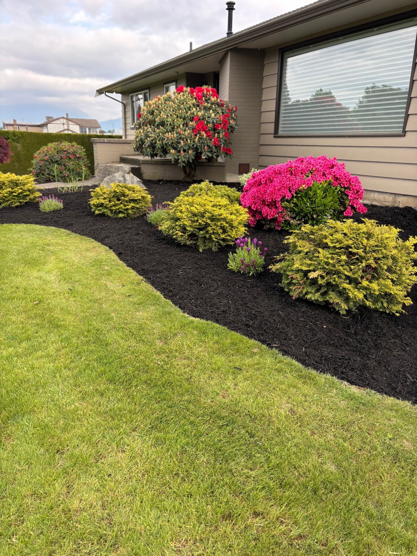 Mulch